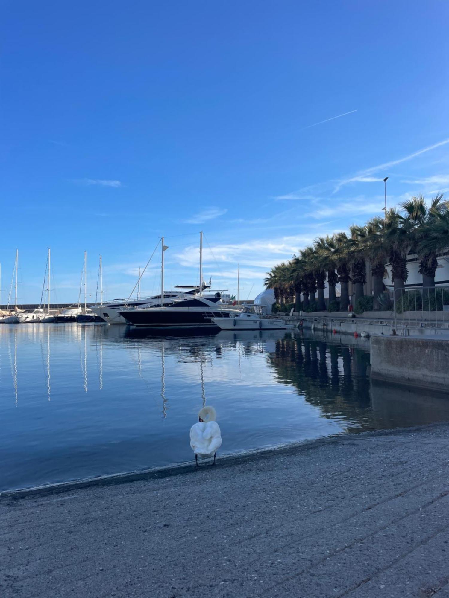 Casa Del Cardinale Apartman Santo Stefano al Mare Kültér fotó