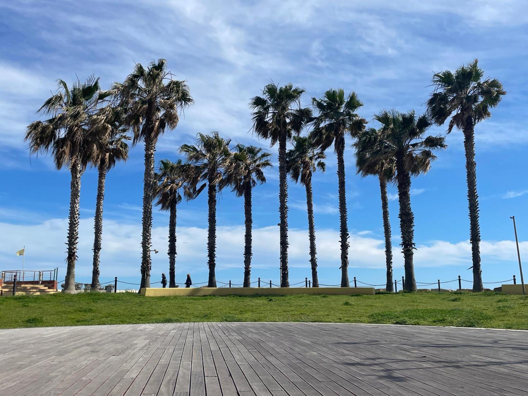 Casa Del Cardinale Apartman Santo Stefano al Mare Kültér fotó